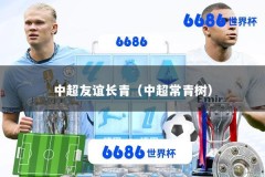 中超友谊长青（中超常青树）