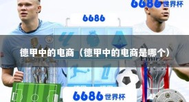 德甲中的电商（德甲中的电商是哪个）