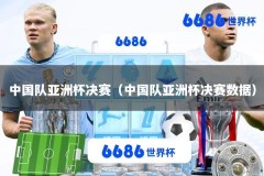 中国队亚洲杯决赛（中国队亚洲杯决赛数据）