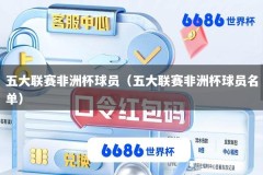 五大联赛非洲杯球员（五大联赛非洲杯球员名单）